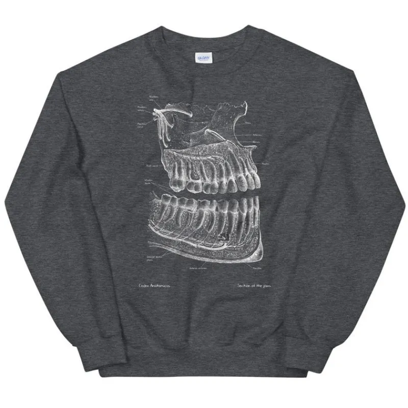 Codex Anatomicus Sweatshirts^Dental Unisex Sweatshirt - Chalkboard