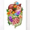 Codex Anatomicus Digestive System^Digestive system - Floral - White