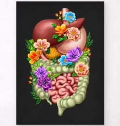 Codex Anatomicus Digestive System^Digestive system - Floral - Black