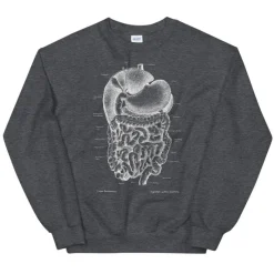 Codex Anatomicus Sweatshirts^Digestive system Unisex Sweatshirt - Chalkboard