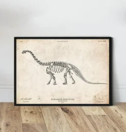 Codex Anatomicus Animal Anatomy^Dinosaur skeleton print - Apatosaurus