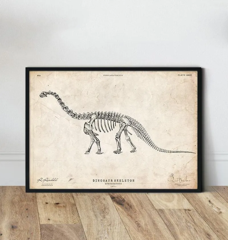 Codex Anatomicus Animal Anatomy^Dinosaur skeleton print - Apatosaurus