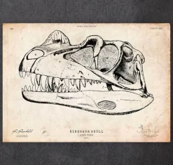 Codex Anatomicus Animal Anatomy^Dinosaur skull print
