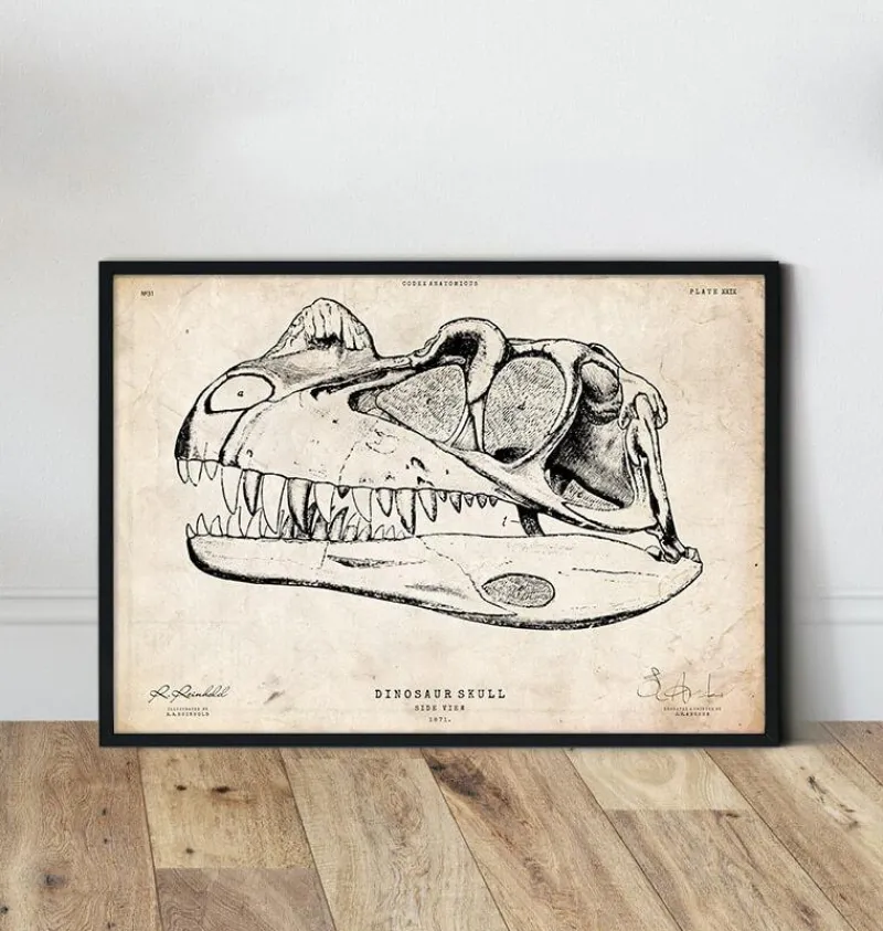 Codex Anatomicus Animal Anatomy^Dinosaur skull print