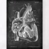 Codex Anatomicus Heart Anatomy^Dissected heart anatomy II - Chalkboard
