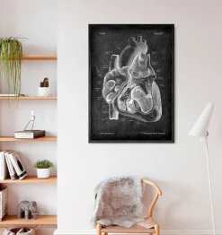 Codex Anatomicus Heart Anatomy^Dissected heart anatomy II - Chalkboard