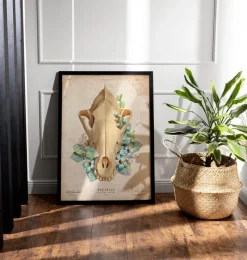 Codex Anatomicus Animal Anatomy^Dog skull - Floral - Vintage