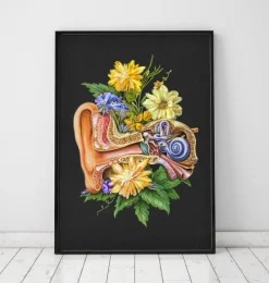 Codex Anatomicus Various Organs^Ear anatomy - Floral - Black