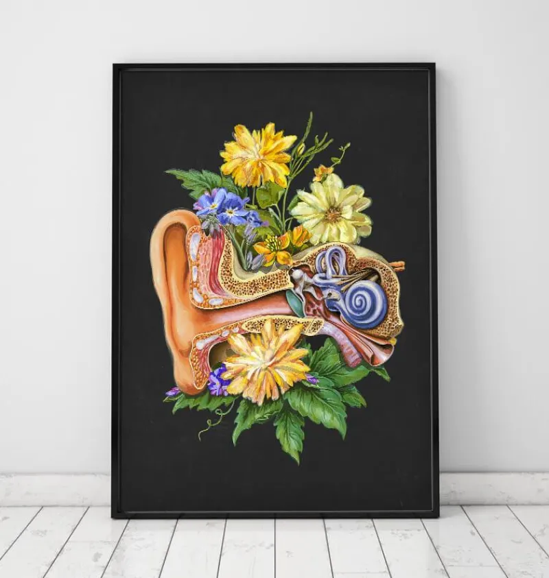 Codex Anatomicus Various Organs^Ear anatomy - Floral - Black