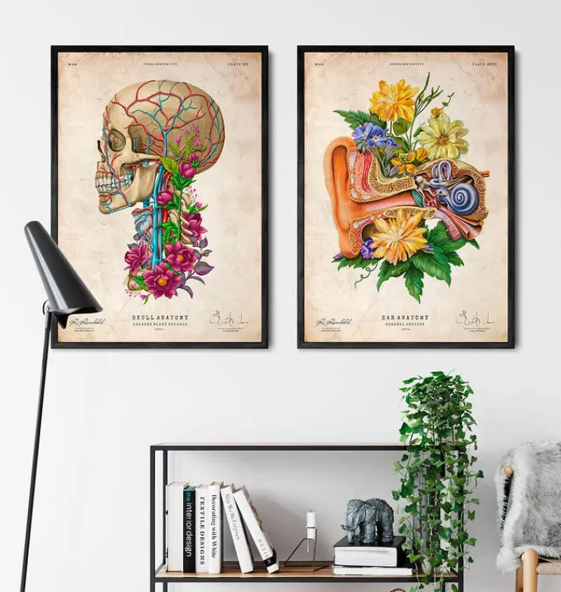 Codex Anatomicus Various Organs^Ear anatomy - Floral - Vintage