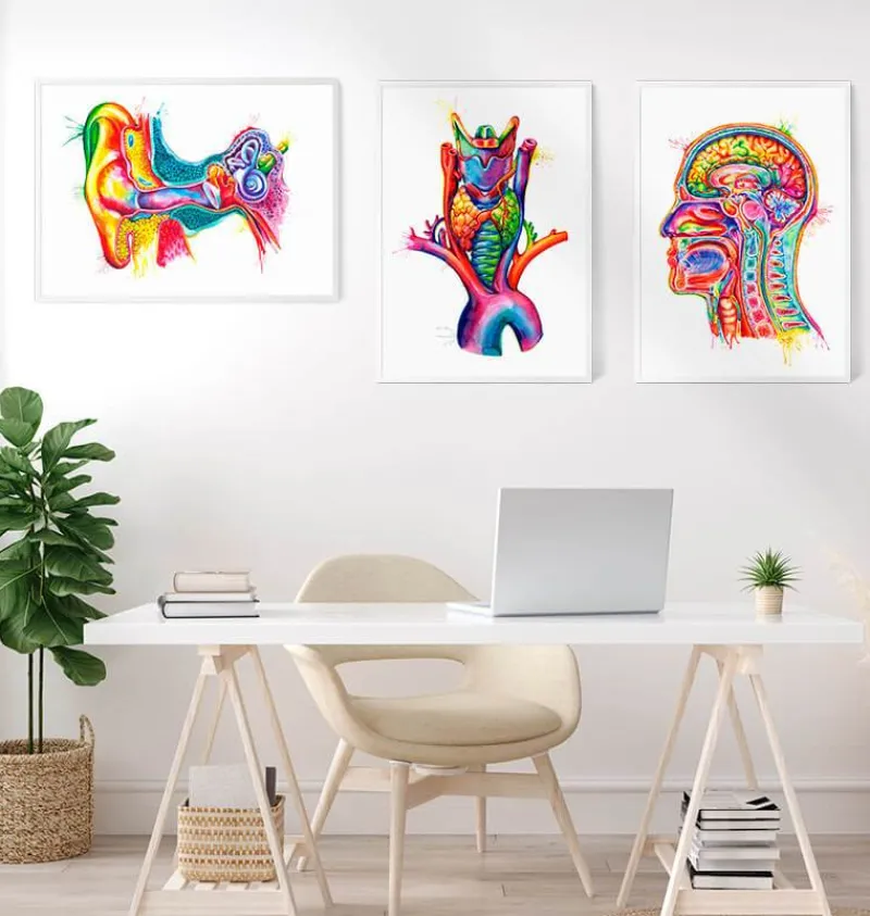 Codex Anatomicus Various Organs^Ear anatomy art - Watercolor splash