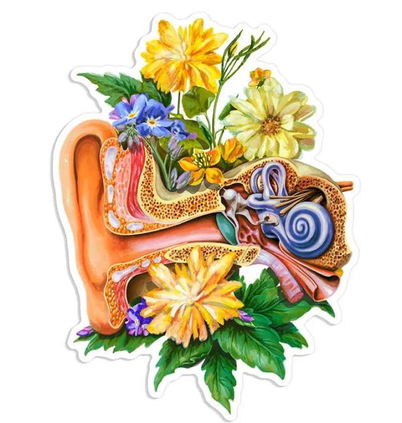 Codex Anatomicus Stickers^Ear anatomy sticker - Floral