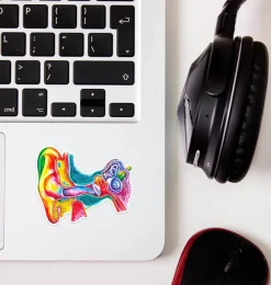 Codex Anatomicus Stickers^Ear anatomy sticker - Watercolor Splash