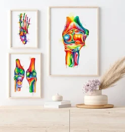 Codex Anatomicus Skull & Skeleton | Hands & Legs^Elbow anatomy - Watercolor splash