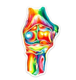 Codex Anatomicus Stickers^Elbow anatomy sticker - Watercolor Splash