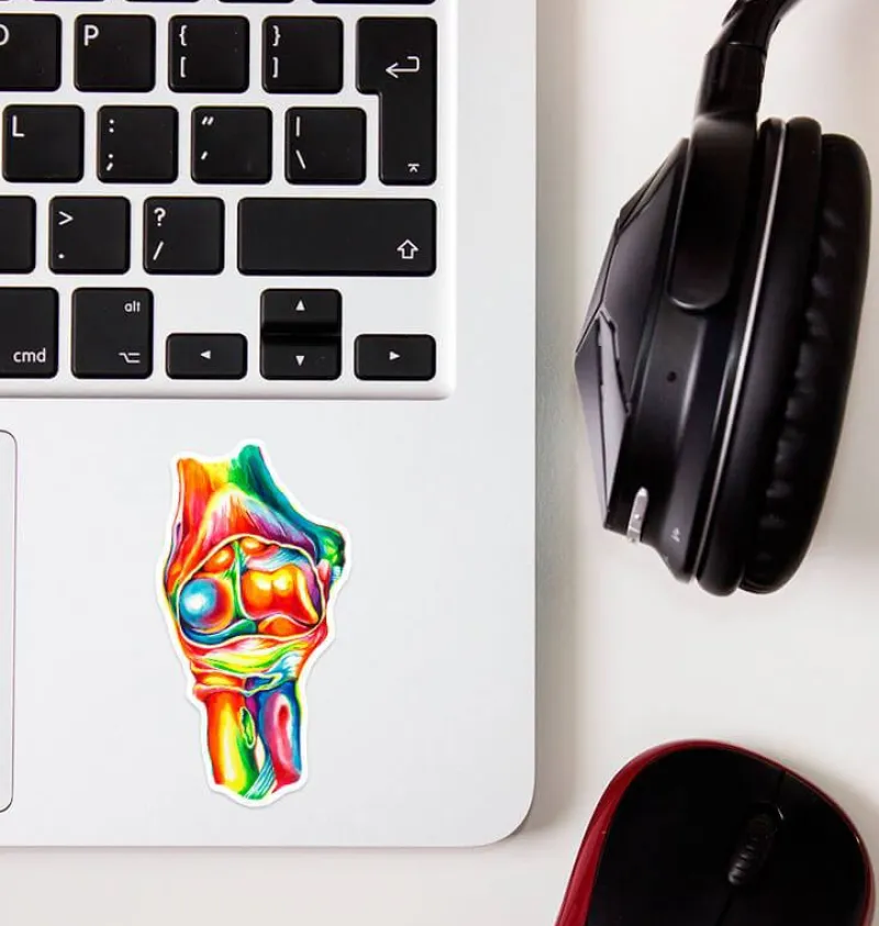 Codex Anatomicus Stickers^Elbow anatomy sticker - Watercolor Splash