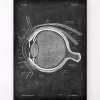 Codex Anatomicus Various Organs^Eye anatomy - Chalkboard