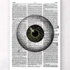Codex Anatomicus Various Organs^Eye anatomy - Dictionary page
