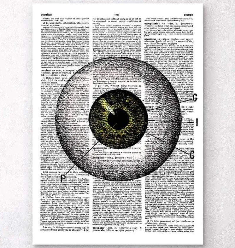 Codex Anatomicus Various Organs^Eye anatomy - Dictionary page