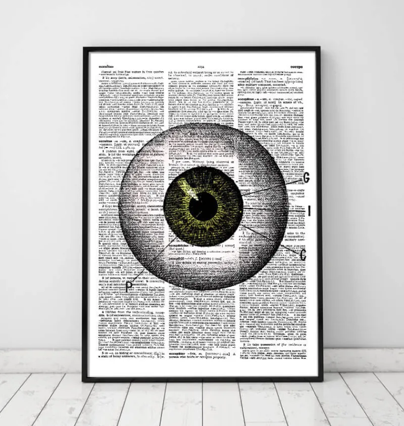 Codex Anatomicus Various Organs^Eye anatomy - Dictionary page