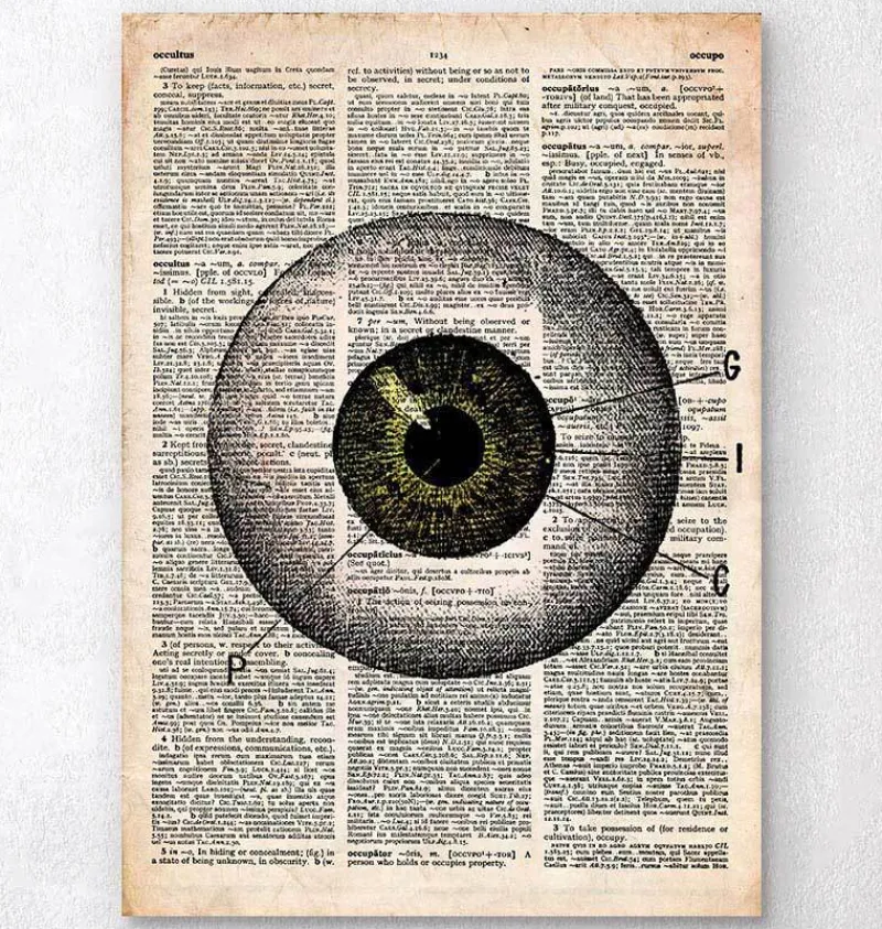 Codex Anatomicus Various Organs^Eye anatomy - Old dictionary page