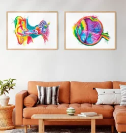 Codex Anatomicus Various Organs^Eye anatomy - Watercolor splash