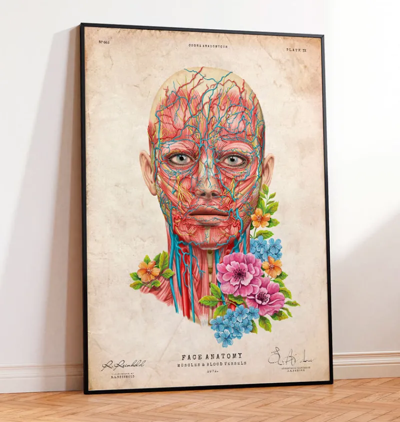 Codex Anatomicus Head & Face^Face anatomy - Floral - Vintage