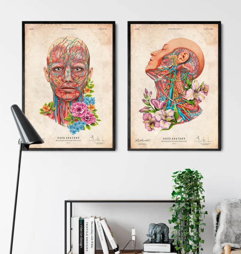 Codex Anatomicus Head & Face^Face anatomy - Floral - Vintage