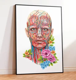 Codex Anatomicus Head & Face^Face anatomy - Floral - White