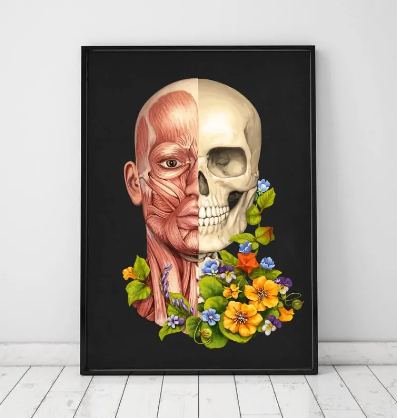 Codex Anatomicus Head & Face^Facial muscles anatomy - Floral - Black