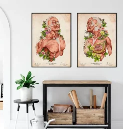 Codex Anatomicus Full Body Anatomy^Female body anatomy - Floral - Vintage