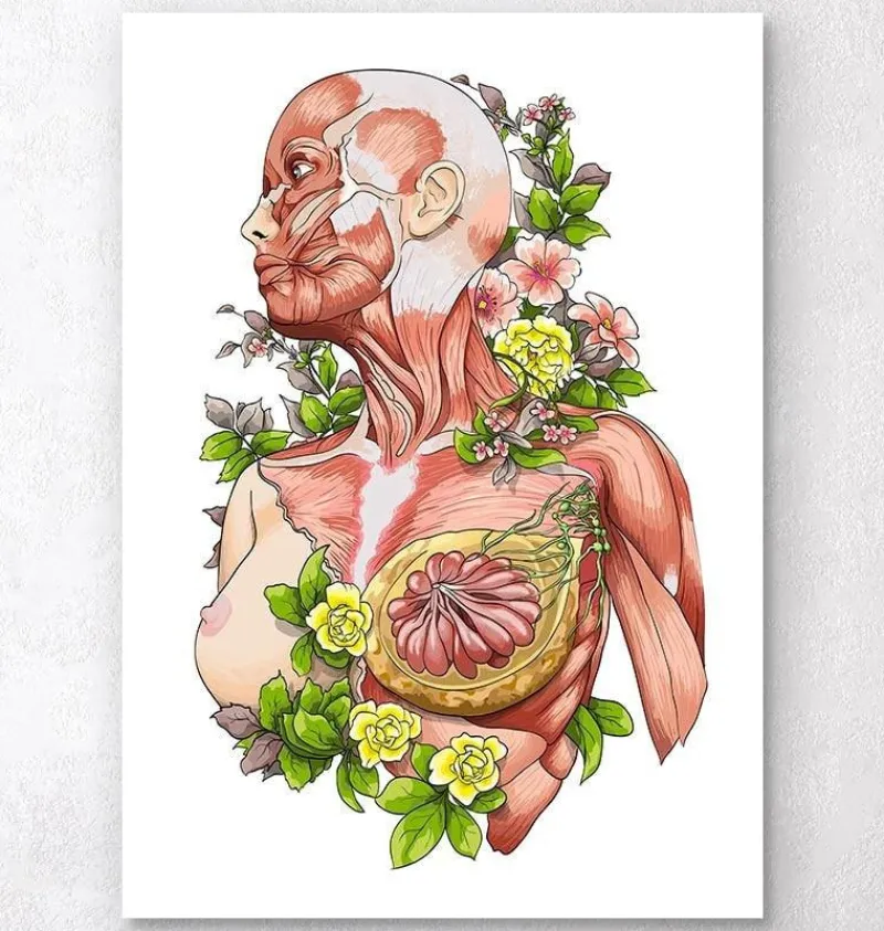 Codex Anatomicus Full Body Anatomy^Female body anatomy art - White