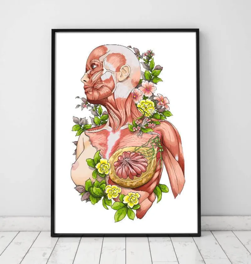 Codex Anatomicus Full Body Anatomy^Female body anatomy art - White