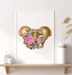 Codex Anatomicus Skull & Skeleton^Female pelvis anatomy - Floral - White
