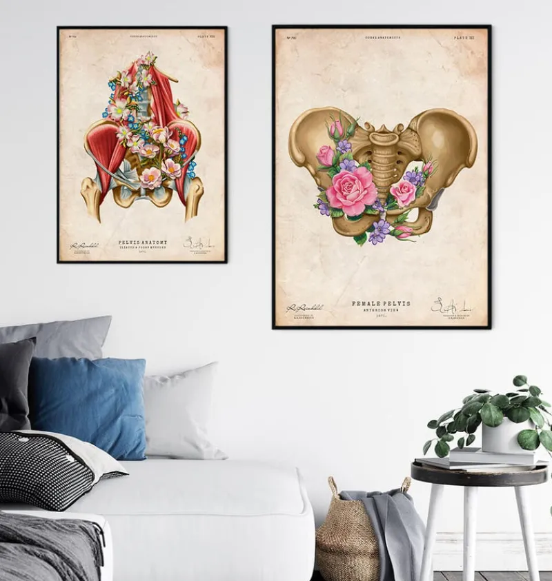 Codex Anatomicus Skull & Skeleton^Female pelvis anatomy - Floral - Vintage