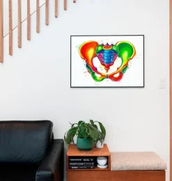 Codex Anatomicus Skull & Skeleton^Female pelvis anatomy - Watercolor splash