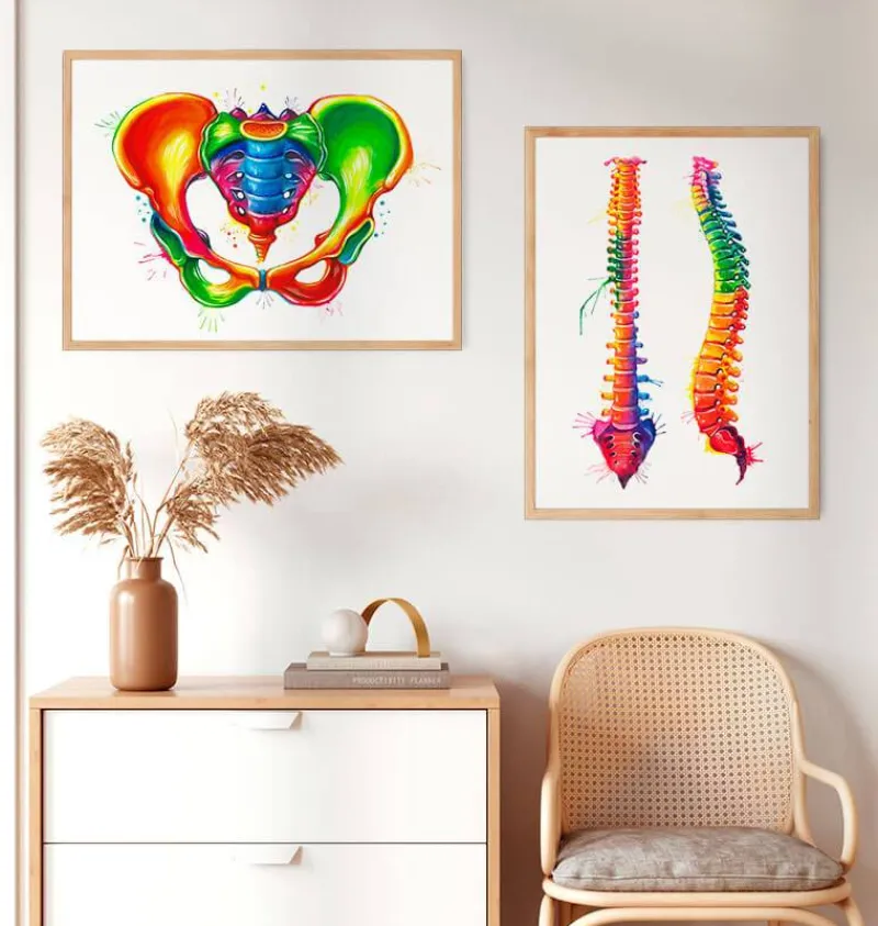 Codex Anatomicus Skull & Skeleton^Female pelvis anatomy - Watercolor splash