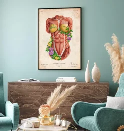 Codex Anatomicus Full Body Anatomy^Female torso muscles - Floral - Vintage