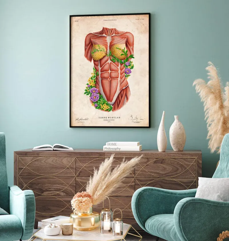 Codex Anatomicus Full Body Anatomy^Female torso muscles - Floral - Vintage
