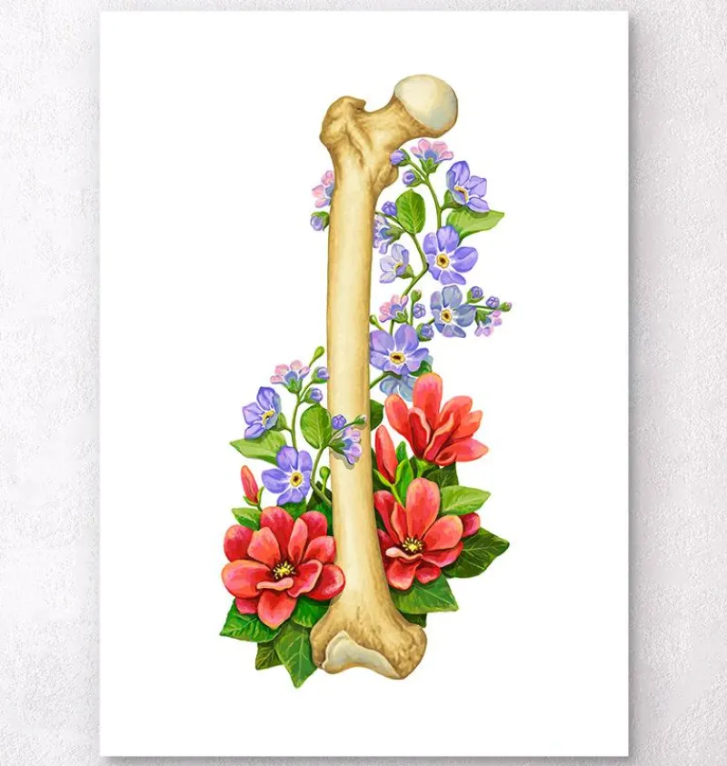 Codex Anatomicus Skull & Skeleton^Femur anatomy - Floral - White