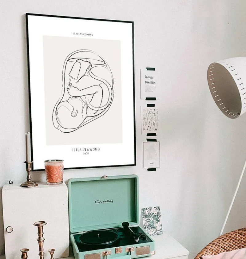 Codex Anatomicus Obstetrics & Gynecology^Fetus - Line Art