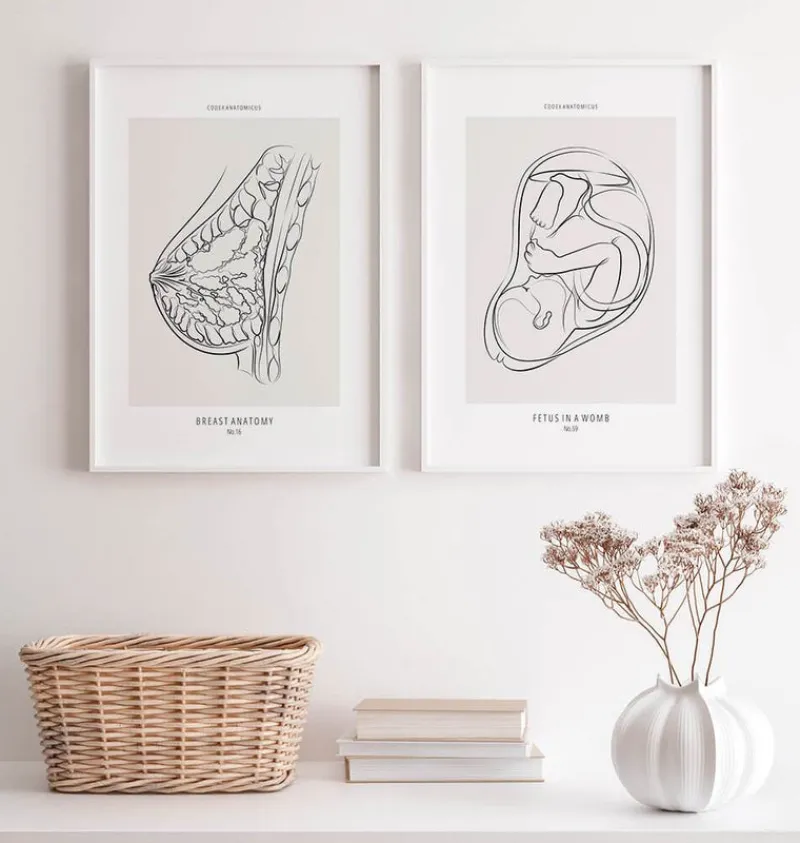 Codex Anatomicus Obstetrics & Gynecology^Fetus - Line Art