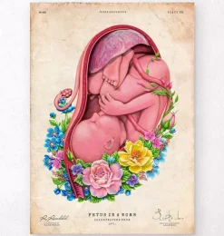 Codex Anatomicus Obstetrics & Gynecology^Fetus in a womb - Floral - Vintage