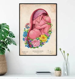Codex Anatomicus Obstetrics & Gynecology^Fetus in a womb - Floral - Vintage