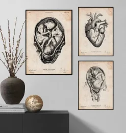 Codex Anatomicus Obstetrics & Gynecology^Fetus in a womb anatomy print II