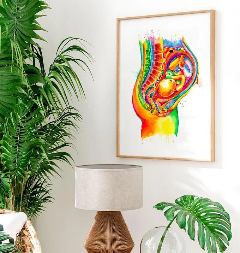 Codex Anatomicus Obstetrics & Gynecology^Fetus in utero anatomy - Watercolor splash