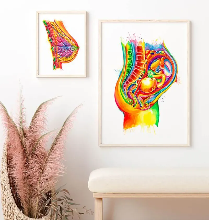 Codex Anatomicus Obstetrics & Gynecology^Fetus in utero anatomy - Watercolor splash
