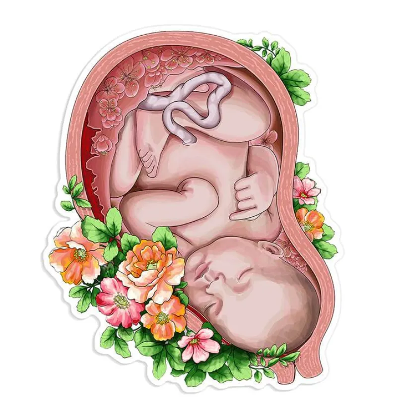 Codex Anatomicus Stickers^Fetus sticker III - Floral