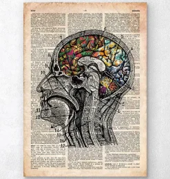 Codex Anatomicus Brain Anatomy^Floral brain art - Old dictionary page