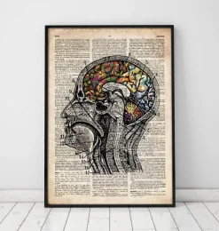Codex Anatomicus Brain Anatomy^Floral brain art - Old dictionary page